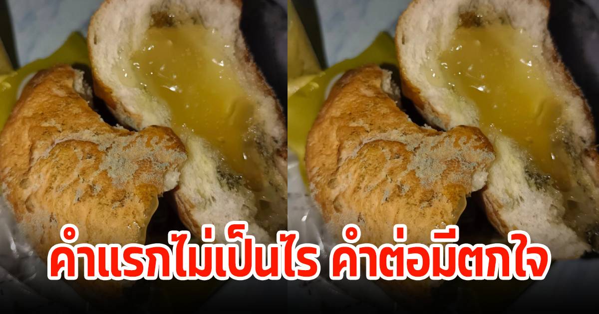 Danger of Eating Moldy Bread in the Dark: Health Risks and What to Do If Accidentally Ingested