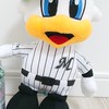 まとめロッテ！ちゃんねる