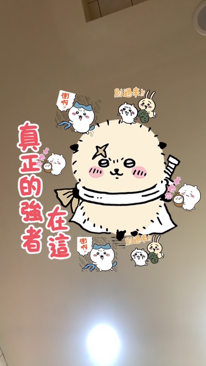 Family  群