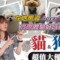 蔓蔓 / 台南寵物美容推薦