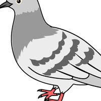 鳩さん復帰おめでとう🎉🎉(同好会)