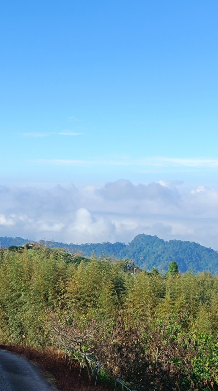 敦化國小露營群