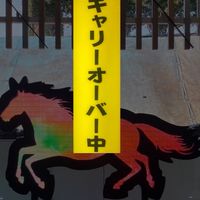 ゆるゆる競馬🏇テキトーに楽しく♪