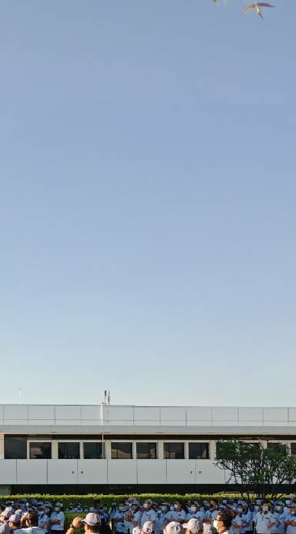 ข่าวสารเด็นโซ่ ประเทศไทย