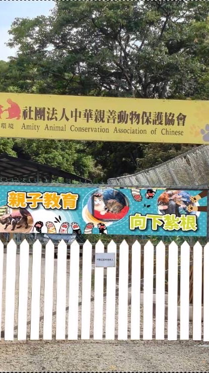 貓村志工（中華親善動物保護協會）