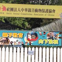 貓村志工（中華親善動物保護協會）
