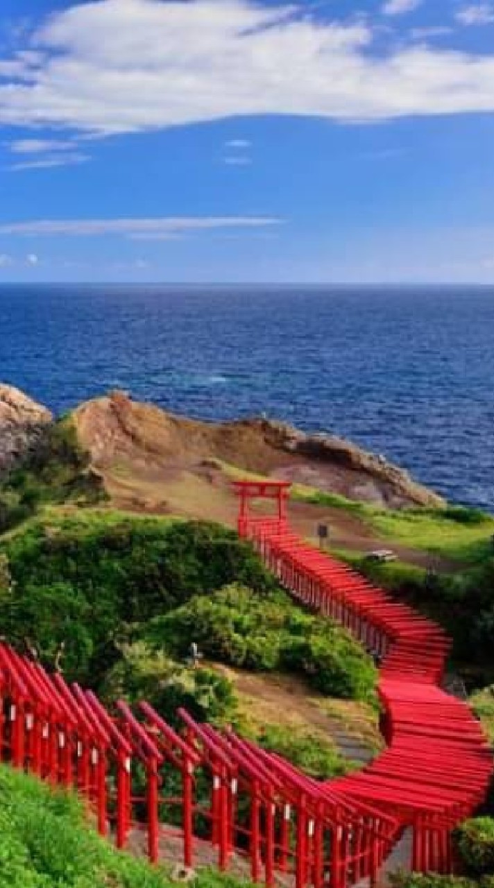 山口県のグルメ・飲食店を共有しましょう！宇部・山陽小野田・下関・周南・防府・岩国・萩