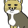 ちべりすなー🦊