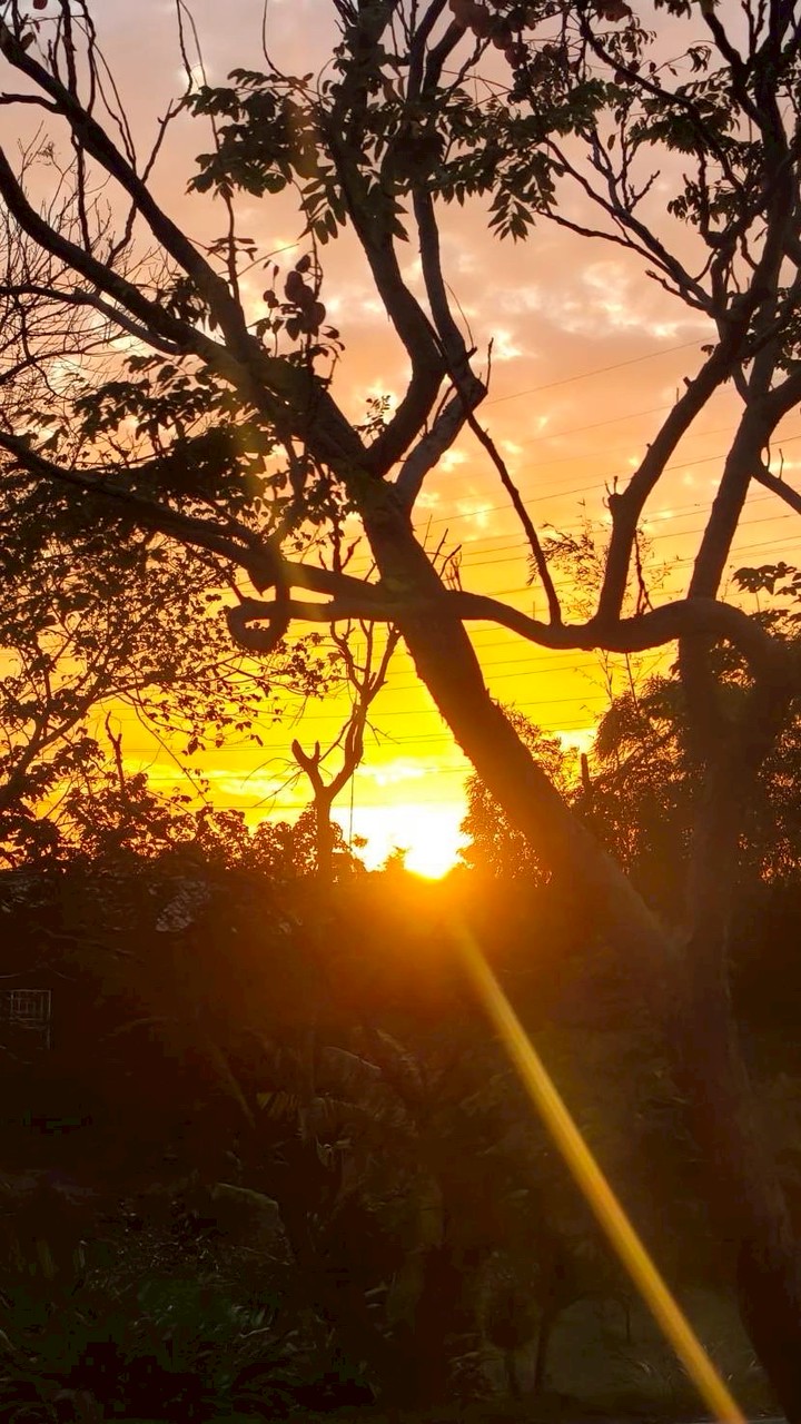 日出🌅（謙家）