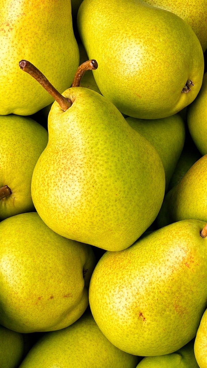 🍐大人の恋愛 ROOM🍐楽しい雑談 and ライブトーク 〚オフ会あり〛