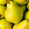 🍐大人の恋愛 ROOM🍐楽しい雑談 and ライブトーク 〚オフ会あり〛