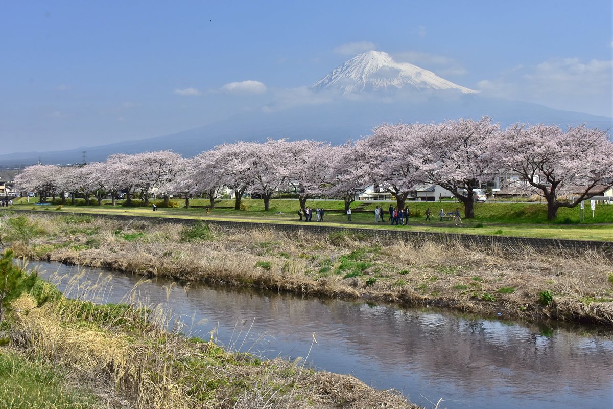 拍富士山的好地方 潤井川河川敷