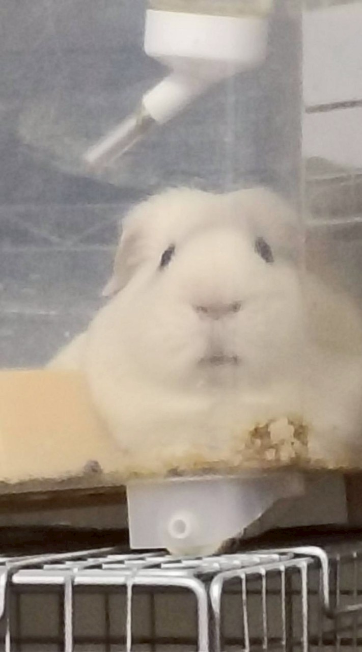 ︎雑談ルーム毎日笑顔で過ごそう😄
