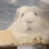 ︎雑談ルーム毎日笑顔で過ごそう😄