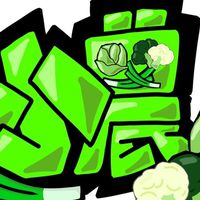 （新高菜攤）小農生鮮市集