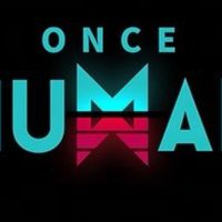 Oncehuman チーム募集・攻略