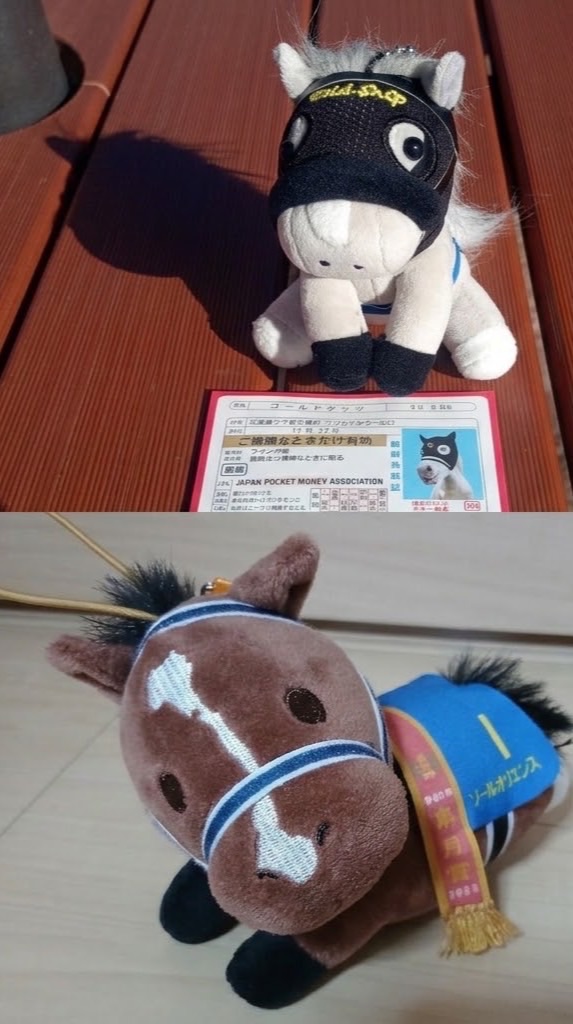 〜競馬好き集合‼️〜
