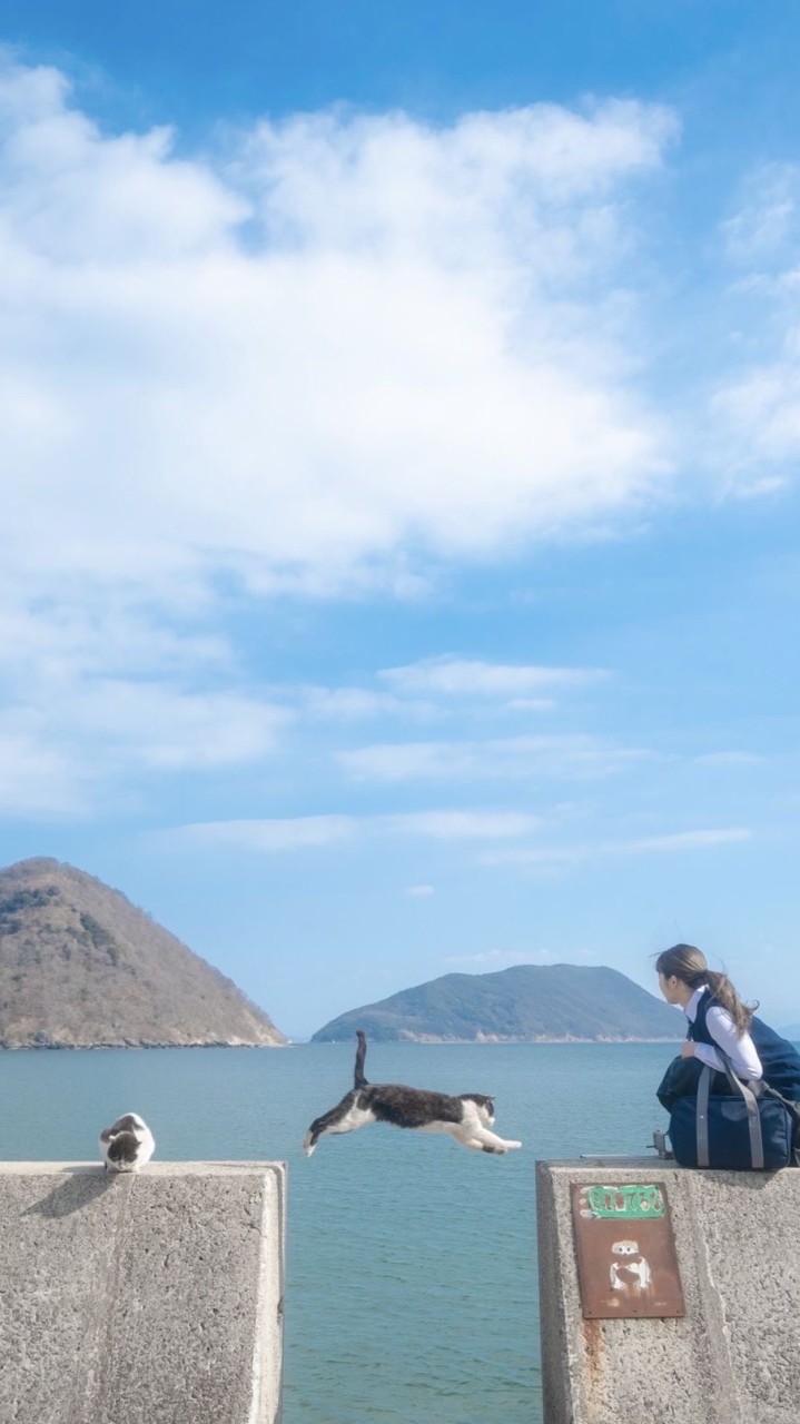 台北桌遊、旅遊、露營、戶外活動