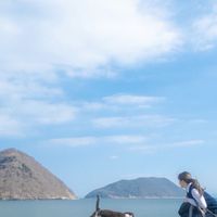 台北桌遊、旅遊、露營、戶外活動