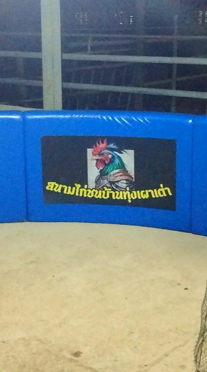 สนามไก่ชนบ้านทุ่งเผาเต่า