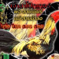 ซุ้ม ซามูไรหมูบิน s.s