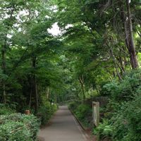 集まれ「相模大野〜相武台前〜海老名」
