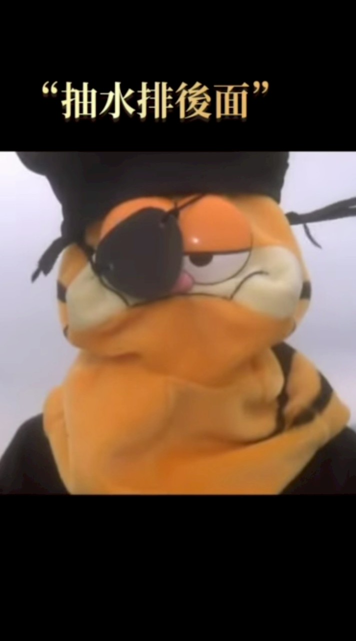 外送加菲貓尋親群