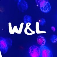W&L 批發代購-大V