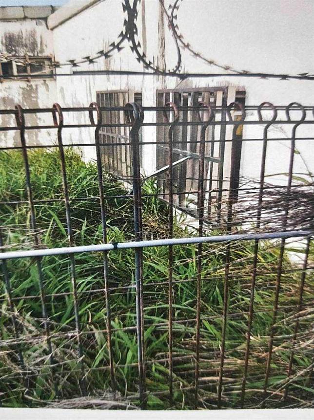 偷渡客有軟骨功？6人成功逃逸　1嫌太胖「卡窗戶」作罷