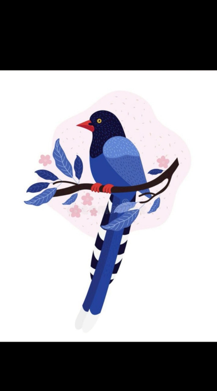 加加早安資訊站！