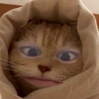 なんか色々ゲーム