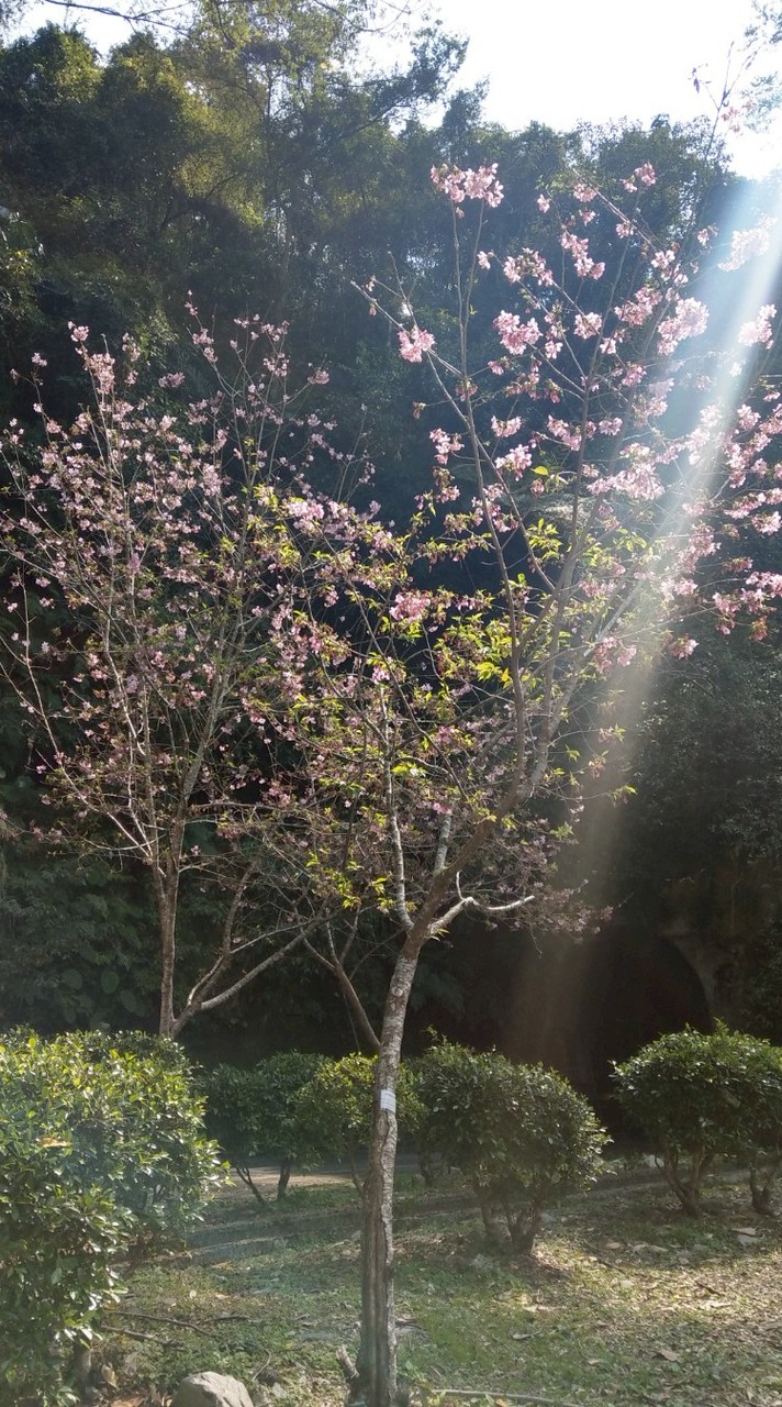台灣中部溪釣