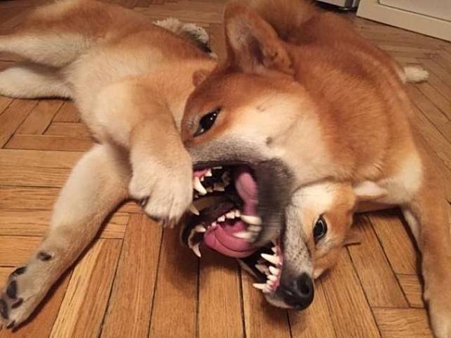 Awas Pusing! Kumpulan Gambar Ini Bikin Kamu Berfikir Keras