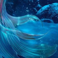 RP || Underwater Palace🐚