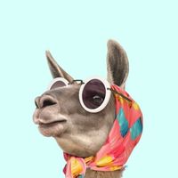 快30歲的煩惱
