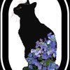 ゆち子🐈‍⬛ꙷ🐾配信予定等🥰