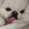 ウォレが作ると過疎るヘタリアカオス激緩也‼️‼️‼️‼️‼️‼️‼️‼️‼️‼️‼️