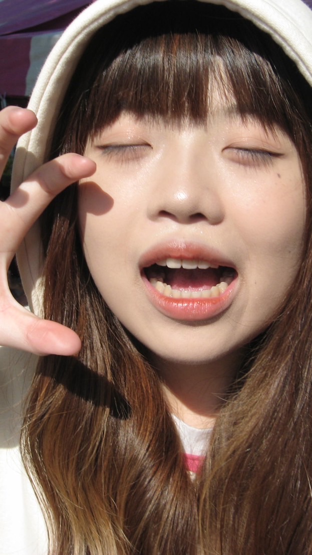 野貓們照片