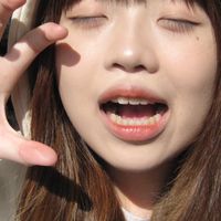 野貓們照片