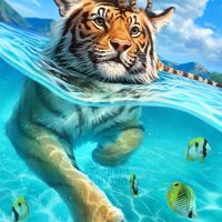 子龍水族（精品魚）競標討論