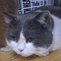 502的小盆友