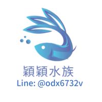 穎穎工作室（水族分享）