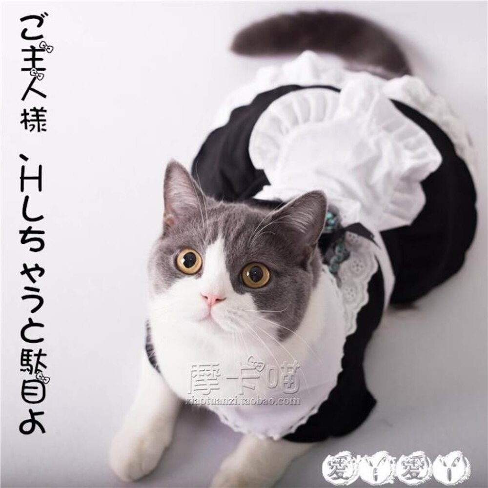 貓咪衣服 寵物衣服貓咪狗狗衣服 cosplay貓女仆裝制服變身裝連衣裙 愛丫愛丫