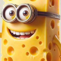 ชีสราคาส่ง🧀🫕Cheese