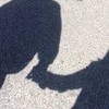 青春しよー！！非リア集合！