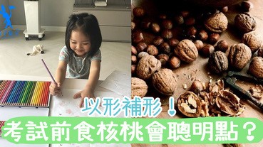 考試前食核桃真的會聰明點、集中點？健康食品都要少食多滋味