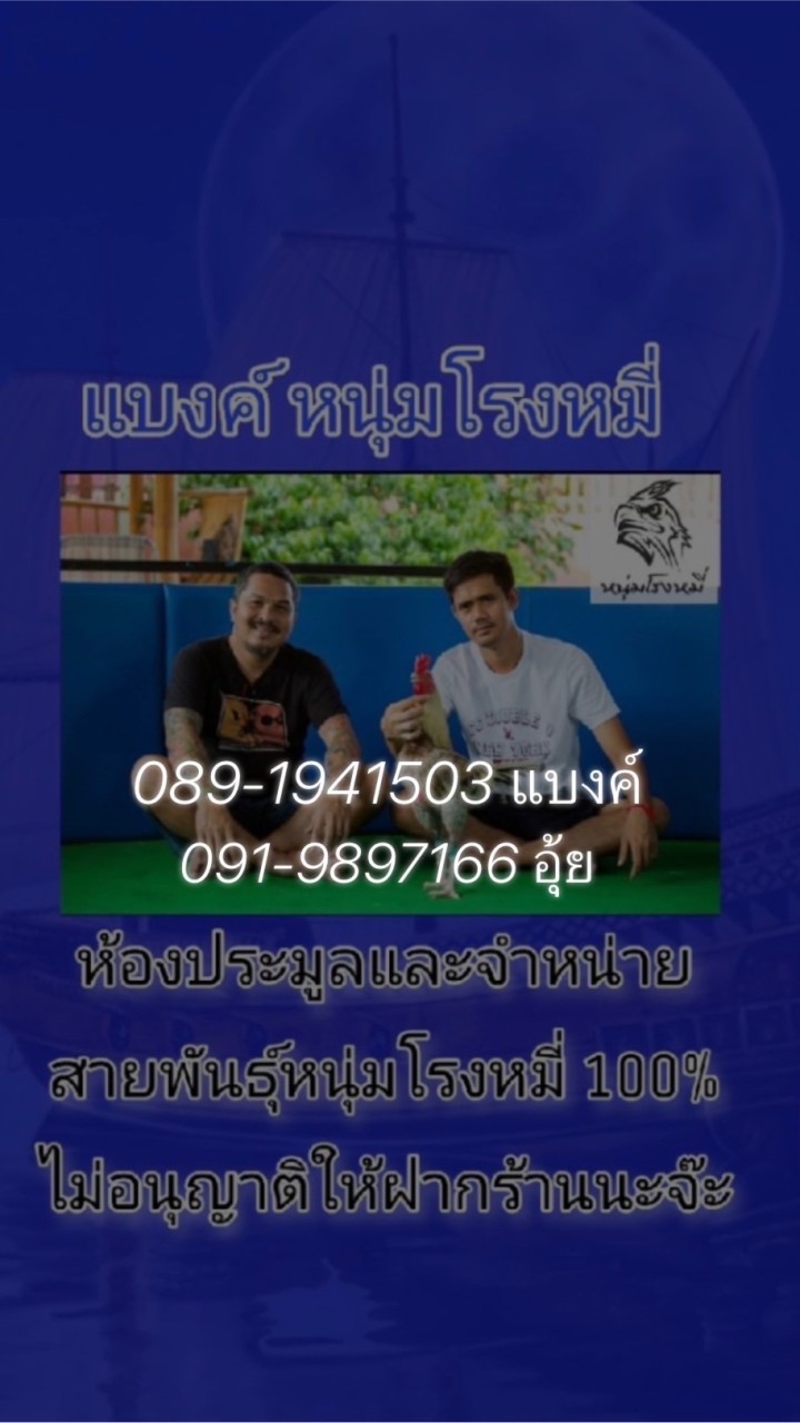 แบงค์ หนุ่มโรงหมี่ ประมูลและจำหน่ายสายพันธุ์หนุ่มโรงหมี่ 100%