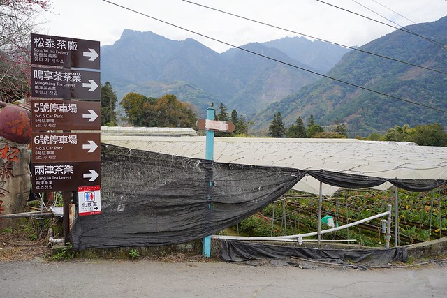 兩津草莓園