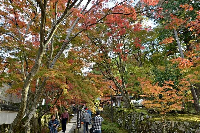 湖東三山紅葉行之三 金剛輪寺 健行筆記 Line Today