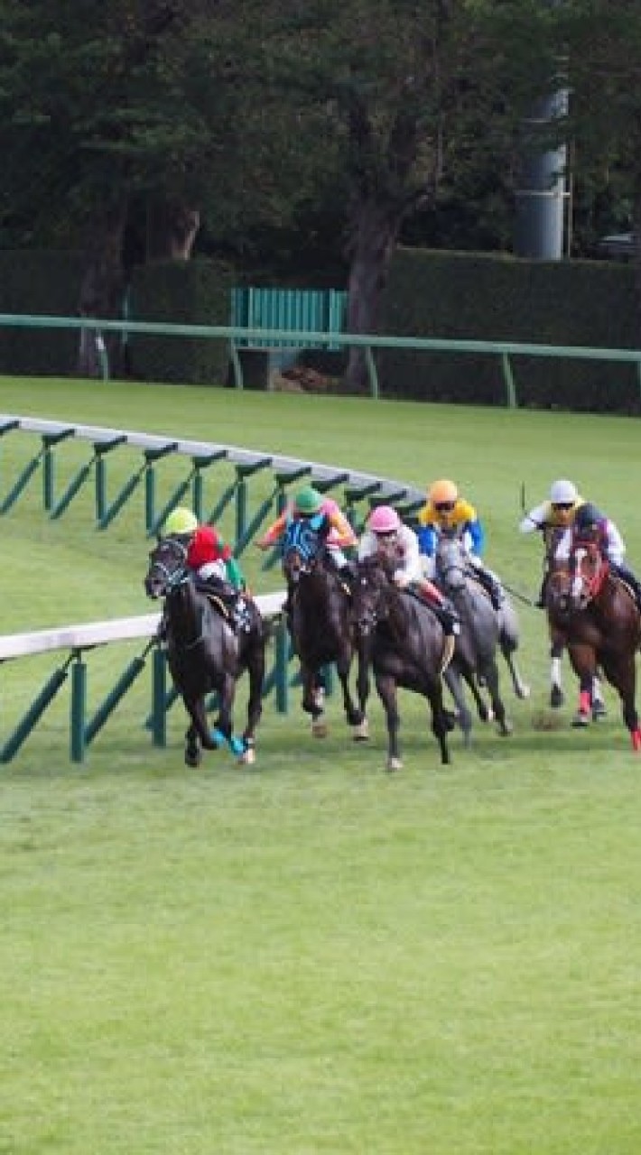 ☆あめぐれ競馬☆のオープンチャット